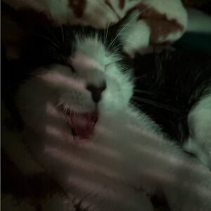 Meet your Posher, Kailyn